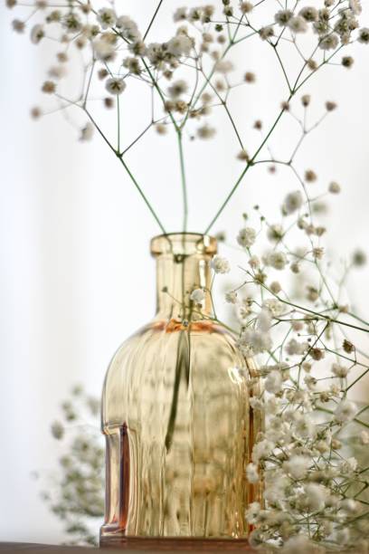 istock Baby's breath for decorat 1488185250