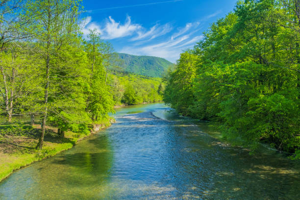 istock Kupa river in spring, Gorski kotar, Croatia 1488186300