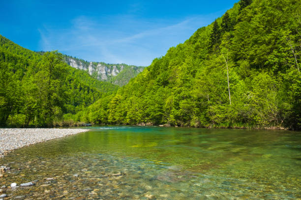 istock Kupa river in spring, Gorski kotar, Croatia 1488186928
