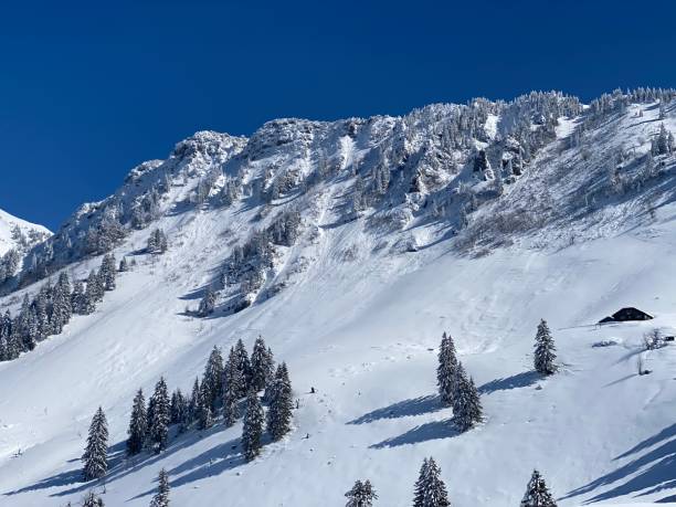 istock Fairytale alpine winter atmosphere and snow-covered coniferous trees on the mountain peak Neuenalpspitz (1817 m), Nesslau - Obertoggenburg region, Switzerland (Schweiz) 1488187035