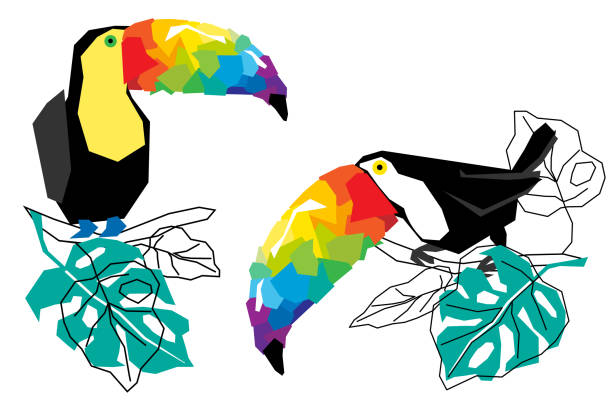 Abstract geometric silhouette of tropical exotic bird toucan. Two birds with colorful beaks sitting on tree branch among green leaves isolated on white background. Rainbow concept. Cartoon vector illustration. Abstract geometric silhouette of tropical exotic bird toucan. Two birds with colorful beaks sitting on tree branch among green leaves isolated on white background. Rainbow concept. Cartoon flat vector illustration. rainbow toucan stock illustrations