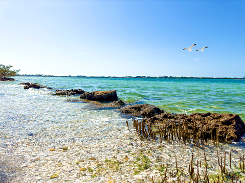 Tropical seascape with transparent clean water in Sarasota, Florida