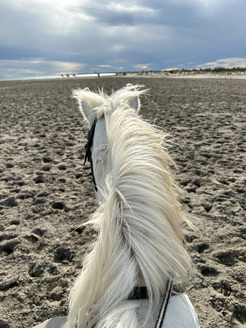 Riding a white Camargue horse along the beach and sea in France. Point of view. Horse riding school.