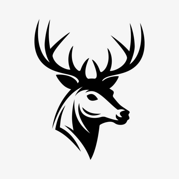 ilustraciones, imágenes clip art, dibujos animados e iconos de stock de logotipo de cabeza de ciervo. silueta negra. ilustración vectorial - deer portrait