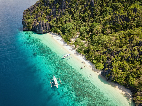 El Nido Entalula Island Beach Lagoon with Filipino Bangka Tour Boats anchored at the pristine sandy beach. Aerial Drone Point of View. Entalula Beach, Bacuit Bay, Mimaropa, El Nido, Palawan, Philippines, Southeast Asia, Asia