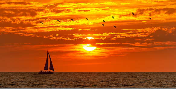 A Sailboat Is Sailing Along The Ocean With Birds Flying Overhead