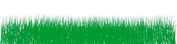 Green grass vector on isolated white background. For Background , Easter greetings, calendar, wallpaper etc.
Gras Vector Illustration. Useable for greeting cards, wallpapers and so on. Easter Background. erde stock illustrations