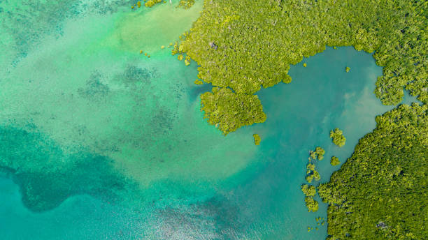 istock Tropical landscape in the Philippines. 1488195832