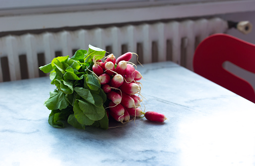 French Breakfast Radishes On Kitchen Table