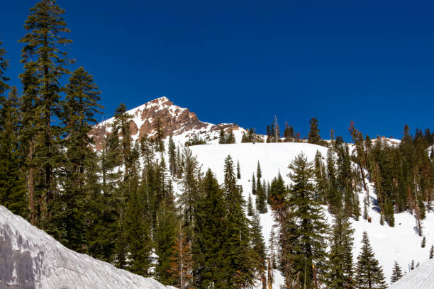 istock Spring snow in Lassen Volcanic National Park 1488202347