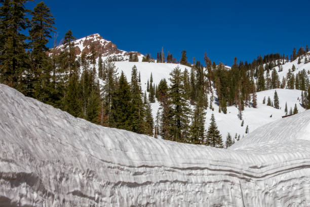 istock Spring snow in Lassen Volcanic National Park 1488202700
