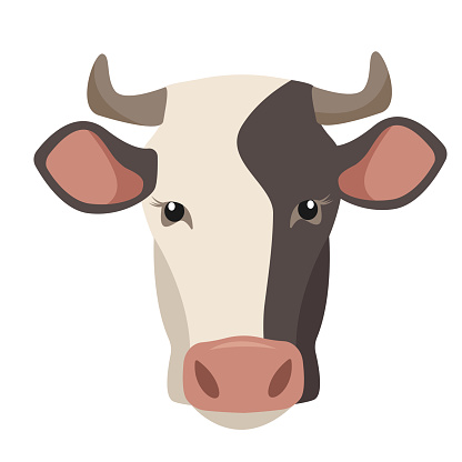 Black and white Cow face icon isolated on white backfround. Dairy cattle Farm animal head. Vector flat or cartoon illustration.