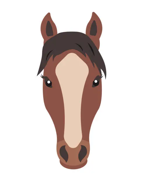 Vector illustration of Brown Horse face. Farm domestic animal head icon isolated on white background.