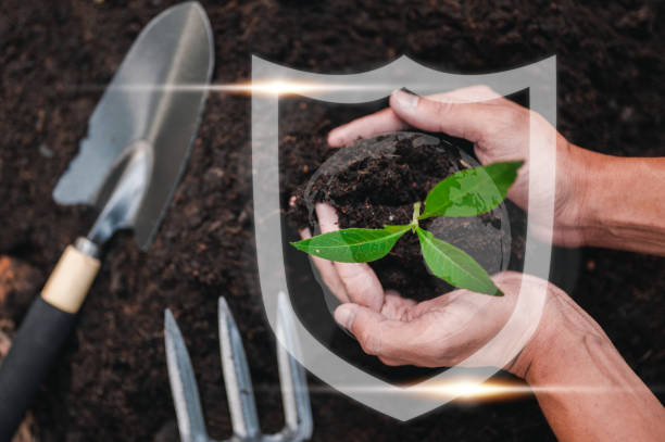 istock nature, leaf, plant, earth, growth, grow, protection, eco, environmental, global. seed environment. 1488204939