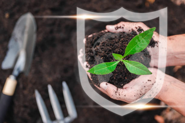 istock nature, leaf, plant, earth, growth, grow, protection, eco, environmental, global. seed environment. 1488204955