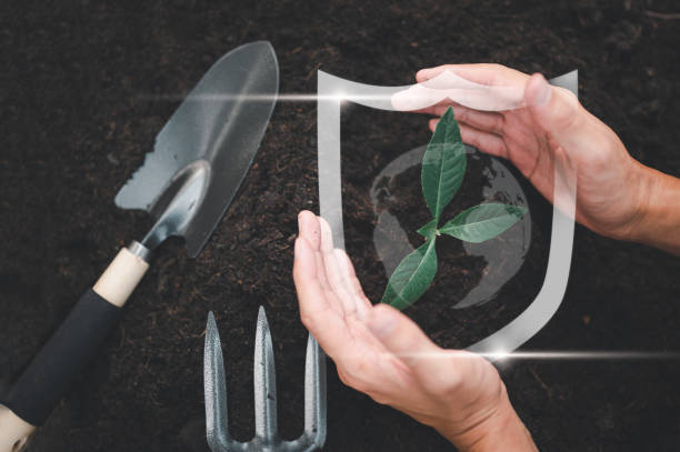 istock nature, leaf, plant, earth, growth, grow, protection, eco, environmental, global. seed environment. 1488205010