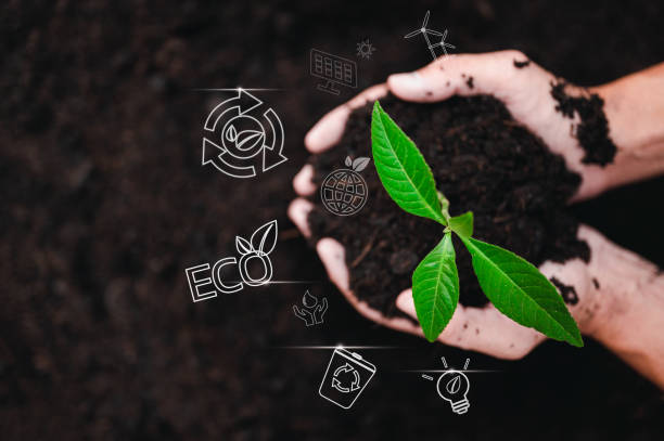 istock plant, nature, leaf, earth, grow, protection, eco, environmental, global, ecosystem. hands hold seed 1488205011