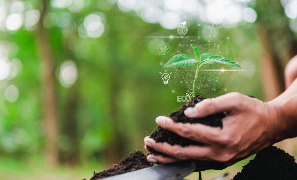 istock plant, nature, leaf, earth, grow, protection, eco, climate change, environmental, network. 1488205046
