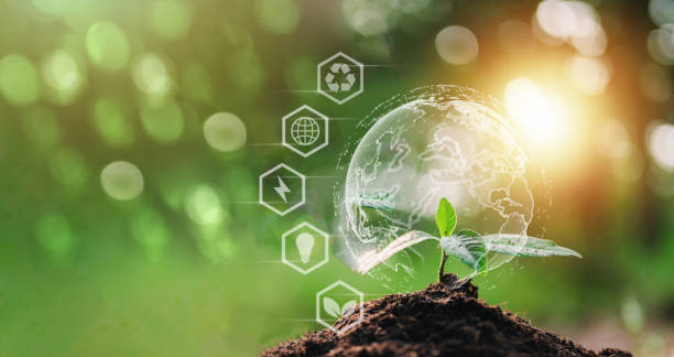 istock plant, nature, leaf, earth, climate change, grow, protection, eco, seed, recycle. climate change. 1488205685
