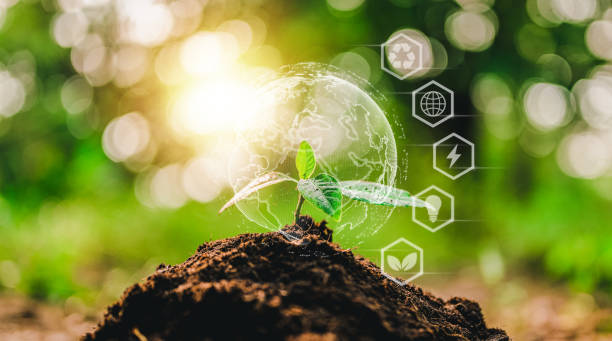 istock plant, nature, leaf, earth, climate change, grow, protection, eco, seed, recycle. climate change. 1488205741