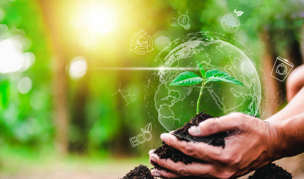 istock plant, earth, climate change, grow, leaf, eco, environmental, recycle, global, hand, ecosystem. 1488205999
