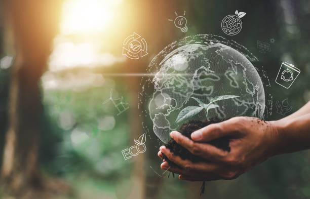 istock plant, earth, climate change, grow, leaf, eco, environmental, recycle, global, hand, ecosystem. 1488206094