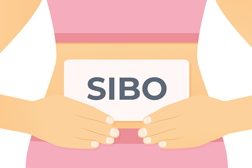woman holds card with SIBO (small intestinal bacterial overgrowth)) diagnosis on her belly - vector illustration