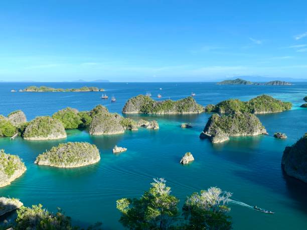istock Piaynemo - most famous viewpoint at Raja Ampat, Indonesia 1488211931