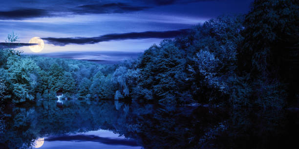 istock lake among the forest at night 1488212446