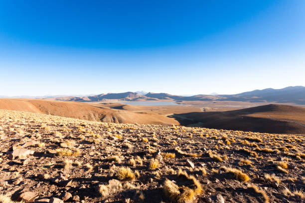 istock Morejon lagoon view, Bolivia 1488212782