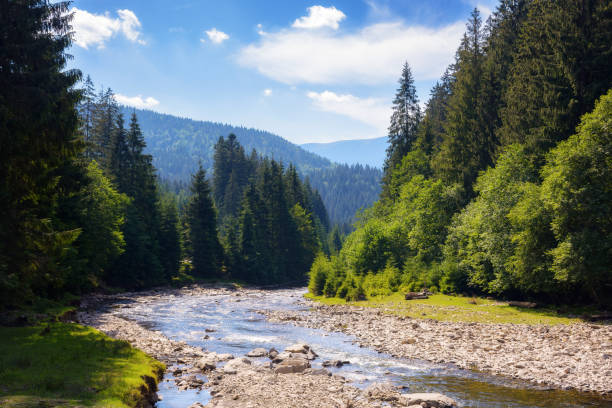 istock rural landscape with mountain river 1488215188