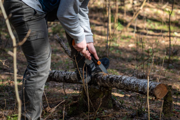 istock A man sawing a fallen tree in the woods to get firewood 1488215944