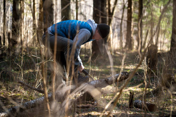 Free Stock Photo of Man Standing on Fallen Tree in Forest | Download ...