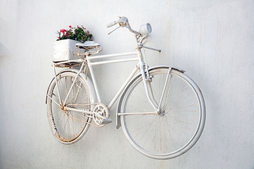 White painted old rusty bicycle with mallow plant in pot on whitewashed wall background. Red flower on malva houseplant. Greece, Cyclades island