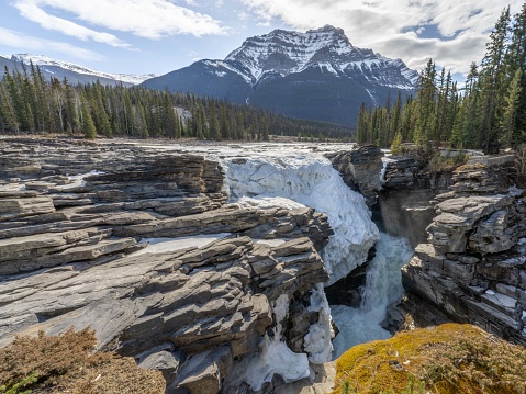 Athabasca Falls in early Spring still partially frozen, with Mt. Kerkeslin in the background.  Jasper National Park, Alberta, Canada.  Photo by Bob Gwaltney.