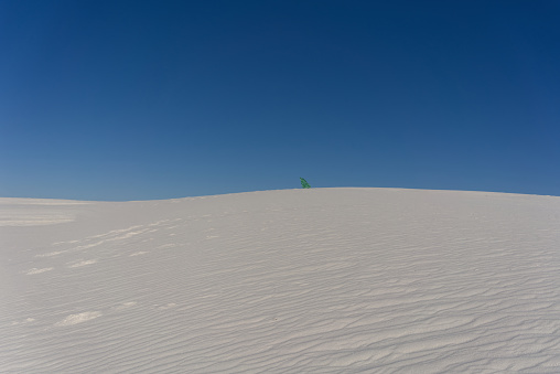 Daytime in the Oceano dunes with a lone person in the distance