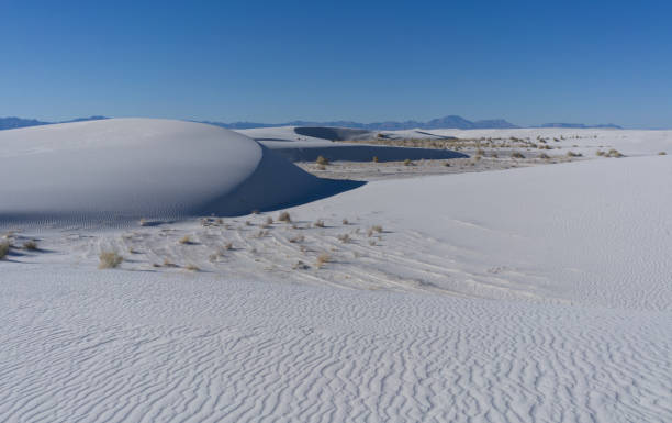istock White Sands National Park, NM 1488234043