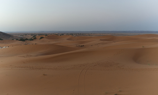 Sand dunes in the desert of Saudi Arabia