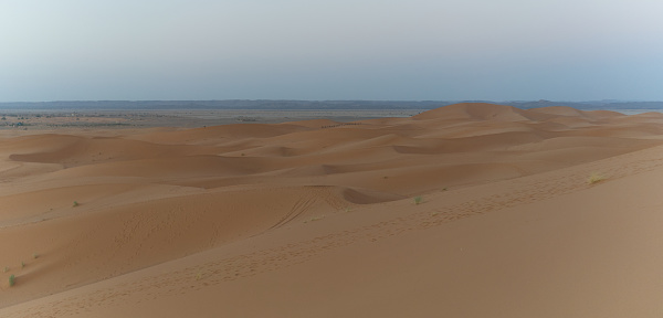 Enormous golden sand dunes before daylight