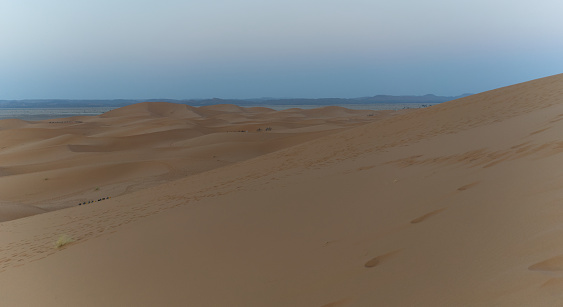 Enormous golden sand dunes before daylight