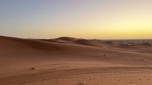 istock Saharan dunes at sunrise 1488234260