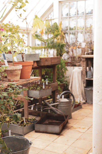 istock The beautiful old garden in Aarhus in Denmark 1488234475