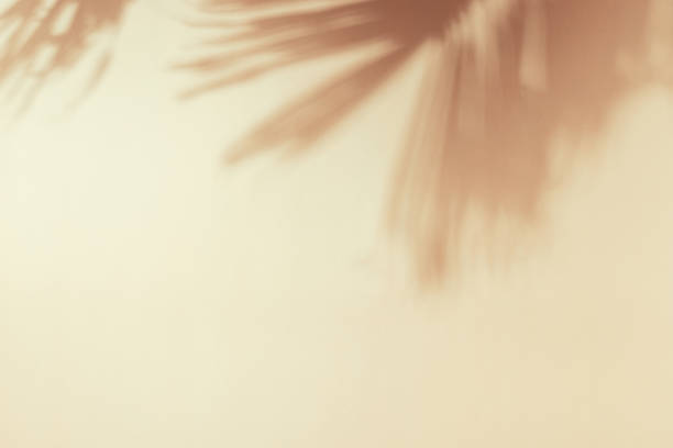 istock Palm leaf shadow on a beige wall. Minimal summer exotic concept with copy space 1488236966