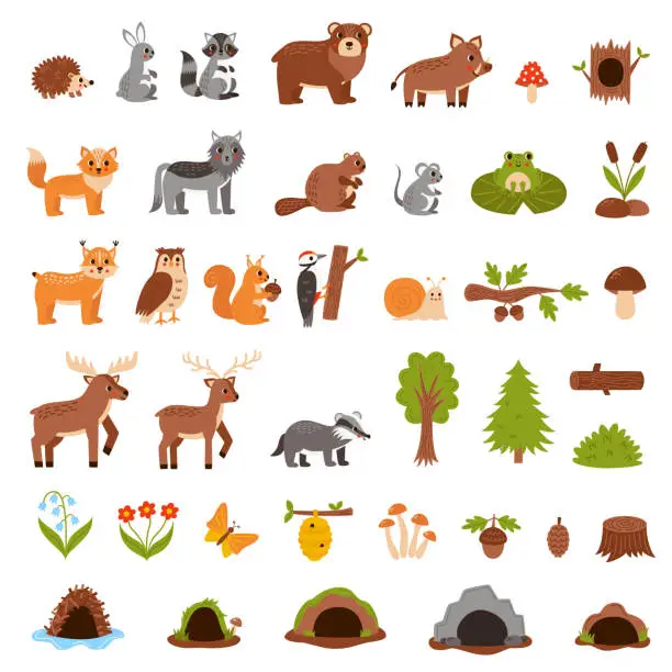 Vector illustration of Set of cute woodland animals in cartoon style.
