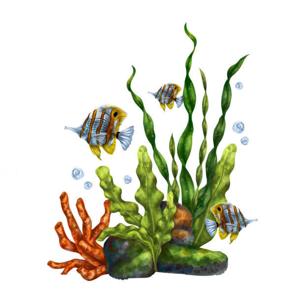istock A bright composition with an underwater world. Red coral, seaweed, tropical striped fish. For printing, stickers, posters, postcards, prints 1488237643