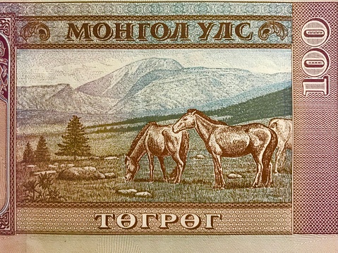 Mongolia’s currency , 100 Togrog note with Suhkbaata a national hero in the face