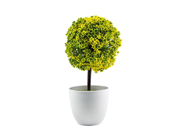 istock Minimalist tree interior decoration, isolated on white 1488239523