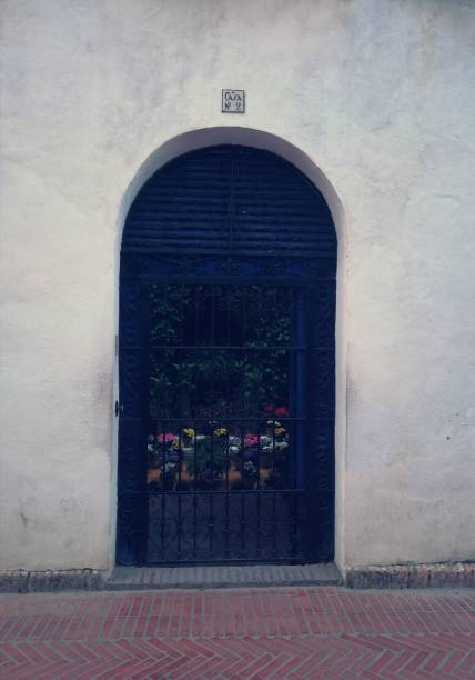 istock Gate to an Andalusian flower patio 1488239934