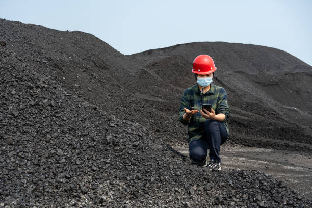 a female technician is inspecting the quality of coal at the port yard - coal crane transportation cargo container imagens e fotografias de stock