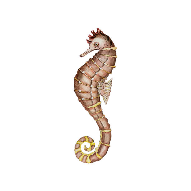 istock Watercolor illustration of a cute seahorse 1488249041